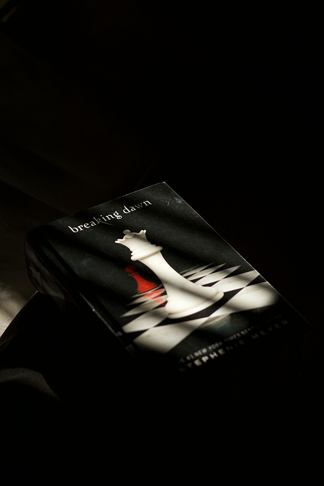 mystery novel with unexpected twist